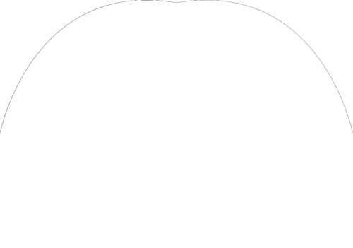 Frank Adamson for Pelham Mayor